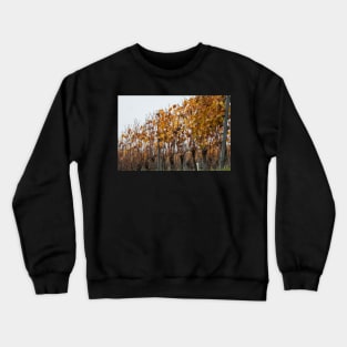 Autumn mood in the vineyards Crewneck Sweatshirt